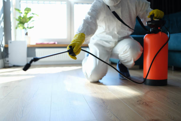 Best Pest Prevention Services  in Park Hills, MO