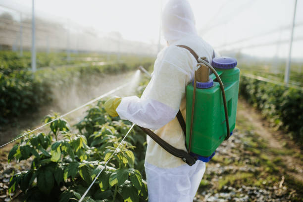 Best Commercial Pest Control Services  in Park Hills, MO
